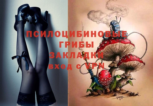 мескалин Касимов
