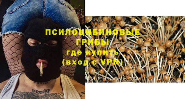 мескалин Касимов