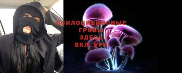 мескалин Касимов