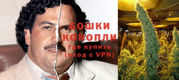 спайс Карпинск