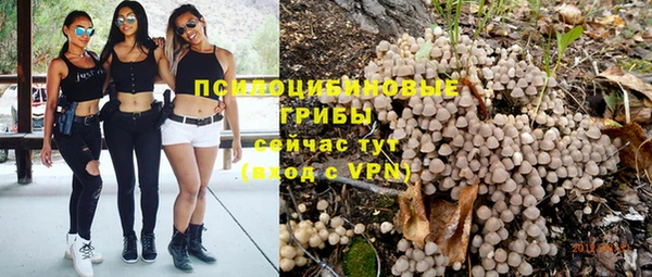 мескалин Касимов