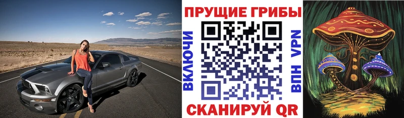 Галлюциногенные грибы GOLDEN TEACHER  Купить  Заинск 